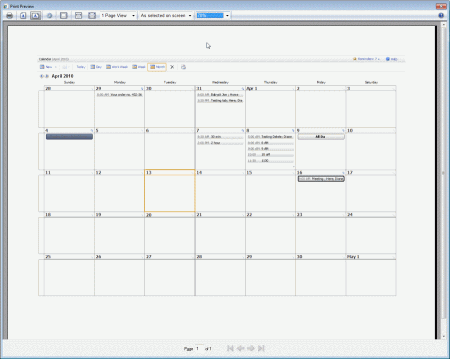 Screenshot of Monthly calendar