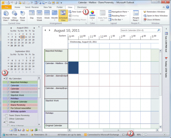 Outlook 2010's Schedule View